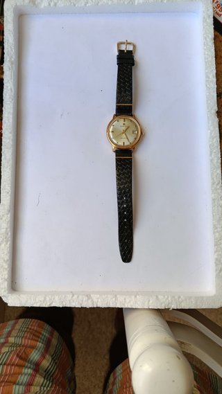 Reloj Radiant Automático Blumar Oro