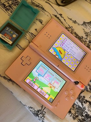 Nintendo DS Rosa