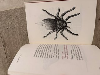 Bestiario de vicios y virtudes