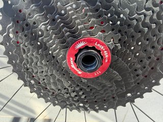 Ruedas Speedsafe Carbono 29