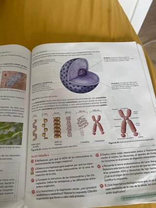 Biología, Geología y CC. Ambientales 1º Bachiller