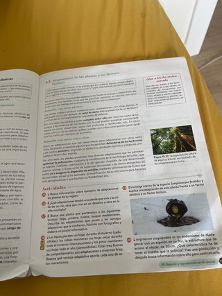 Biología, Geología y CC. Ambientales 1º Bachiller