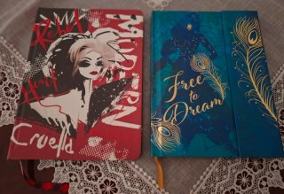 Disney Store 2 Notebooks - Aladdin & Cruella diari