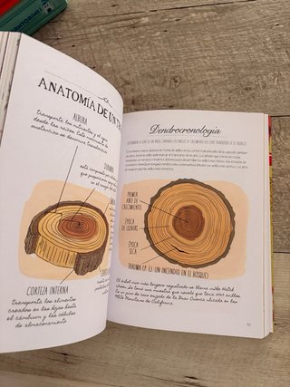 Cuaderno de naturaleza. Secretos y curiosidades...