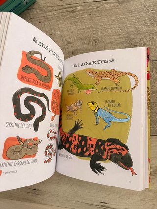 Cuaderno de naturaleza. Secretos y curiosidades...