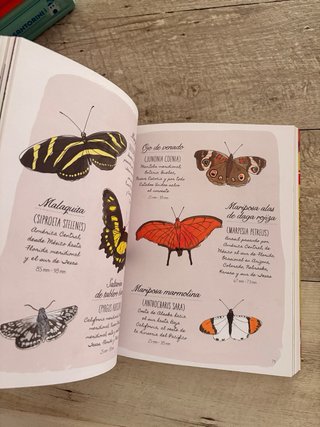 Cuaderno de naturaleza. Secretos y curiosidades...