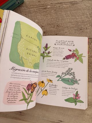 Cuaderno de naturaleza. Secretos y curiosidades...