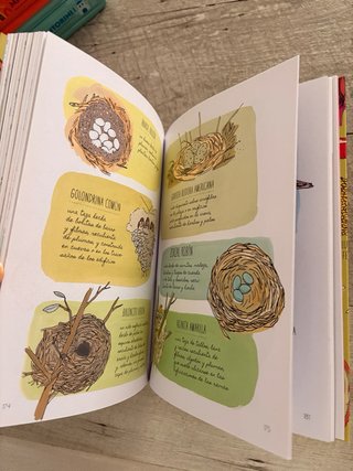 Cuaderno de naturaleza. Secretos y curiosidades...