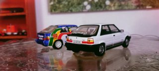 Lote 2 Renault 11 Turbo 1/43
