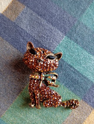Broche gato y 2 anillos