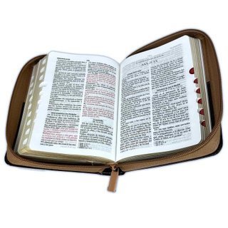 Biblia tamaño compacta Reina-Valera 1960 piel c...