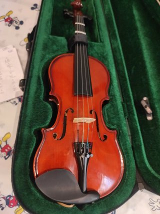 Viola 11.kreutzer school