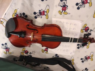 Viola 11.kreutzer school