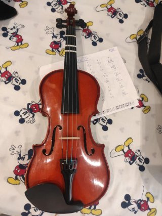 Viola 11.kreutzer school
