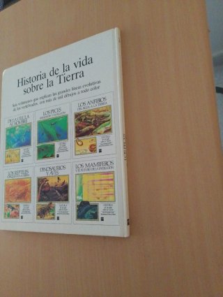 Los Peces variedades y evolución