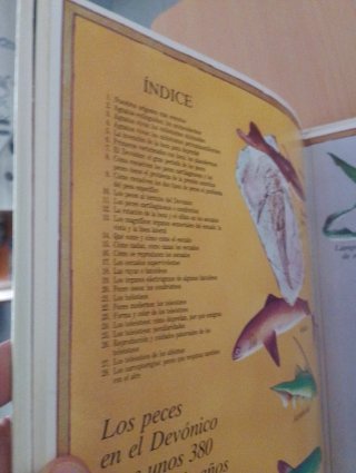 Los Peces variedades y evolución