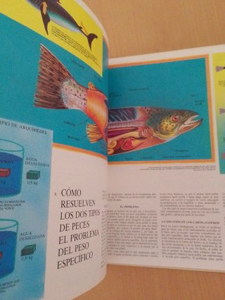 Los Peces variedades y evolución