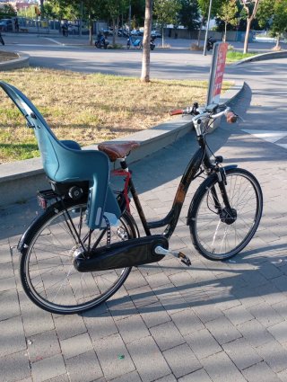 Bicicleta Eléctrica Monty E 50