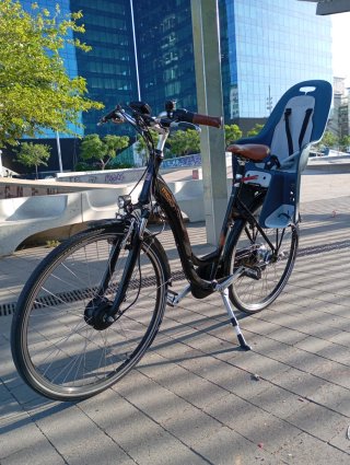 Bicicleta Eléctrica Monty E 50
