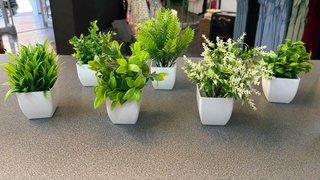 Plantas Artificiales Decorativas