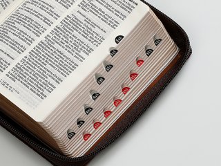 Biblia Reina Valera 1960 de bolsillo Imitación ...