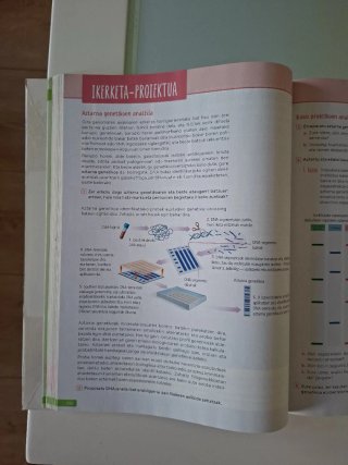 Biologia eta Geologia, 4 DBH Hegan SM