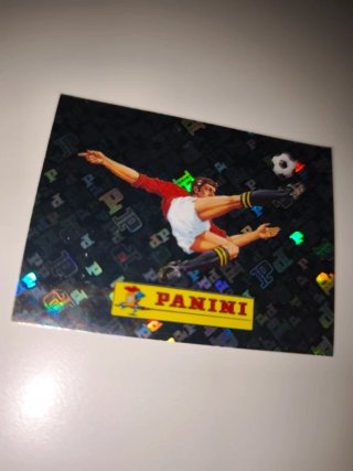 Cromo Panini 00