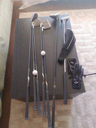 Set de Palos de Golf con Bolsa y guantes
