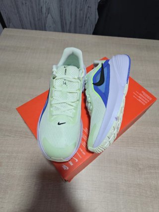 Zapatillas Nike Downshifter 14
