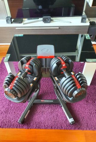2 Mancuernas Bowflex 552i Ajustables + Soporte