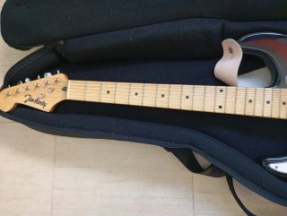 Guitarra Eléctrica Jim Harley para Zurdos