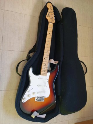 Guitarra Eléctrica Jim Harley para Zurdos