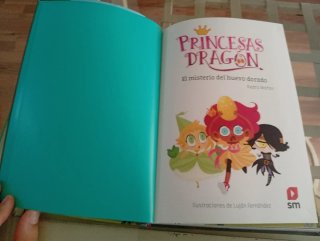 Libro 1 de la saga princesas dragón.