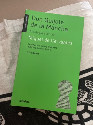 Don Quijote de la Mancha Antología esencial