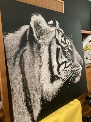 Cuadro Grande Tigre Blanco y Negro