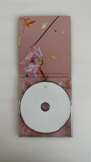 CD Harry Styles