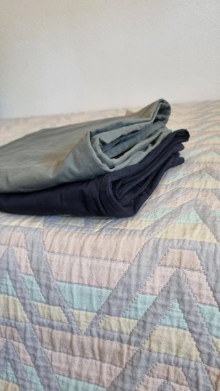 Lote de 2 Pantalones Chinos azul y verde talla 48