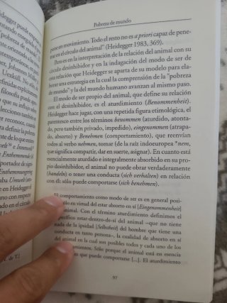 Lo abierto Giorgio Agamben