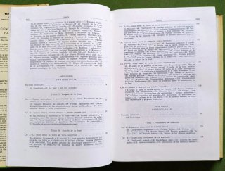 Ciencia del lenguaje y arte del estilo.