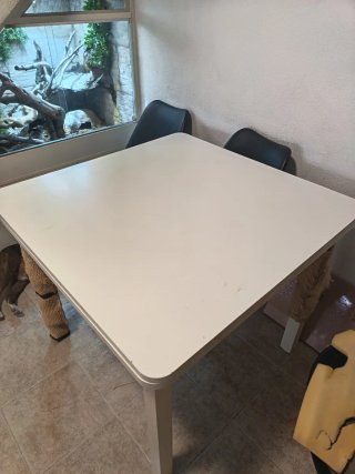 Mesa de salón extensible blanca.