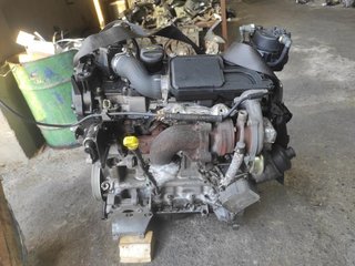 Motor 8HX Citroen C3 I (Fase I, 2002) (2002- y_335