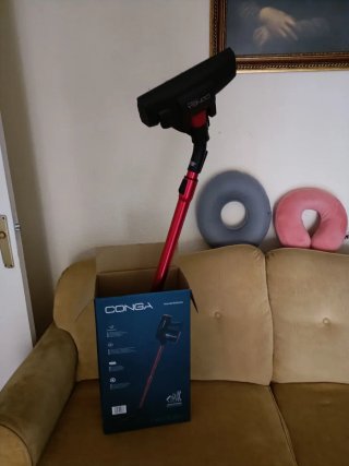 Aspiradora Conga Thunderbrush sin cable