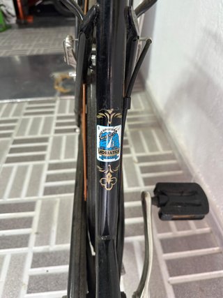 conjunto Bicicletas  Paseo