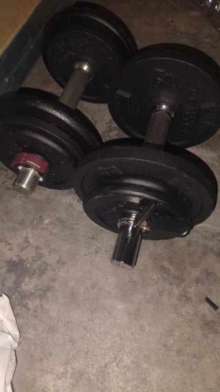 2 Barras Mancuernas + Discos hasta 22kg