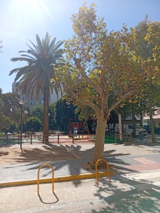 Se vende piso en Cádiz capital