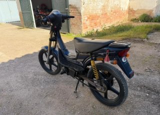 Derbi Variant