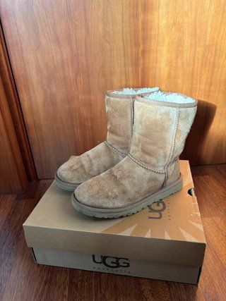 Botas UGG Classic Short Chestnut/marrón