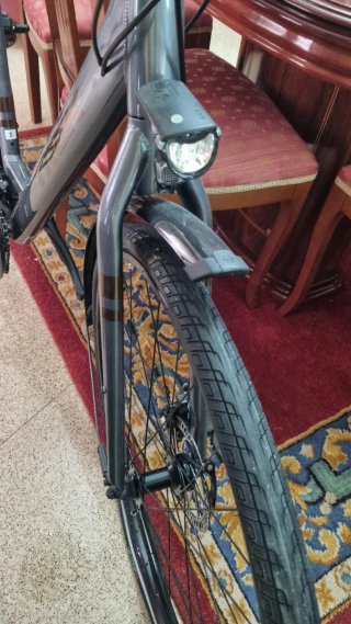 Bicicleta de paseo Trek