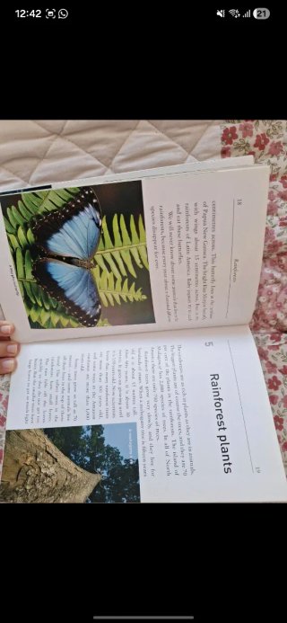 Oxford Bookworms Library: Stage 2: Rainforests