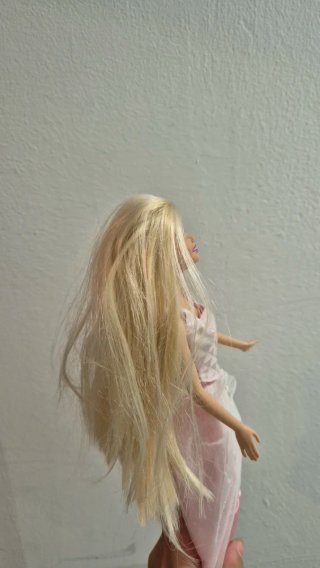 Barbie Princesa con Armario
